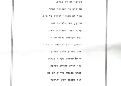 מתוך עלון הפלוגה